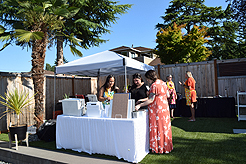 MOMENTUM - MULTI-VENDOR